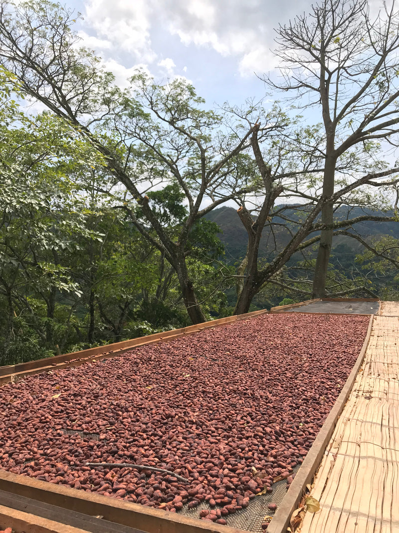 Juan y Natalia, fundadores de Juan Choconat